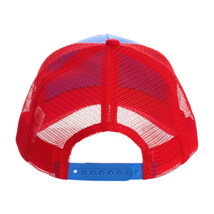 Zumba Love Curved Brim Mesh Cap