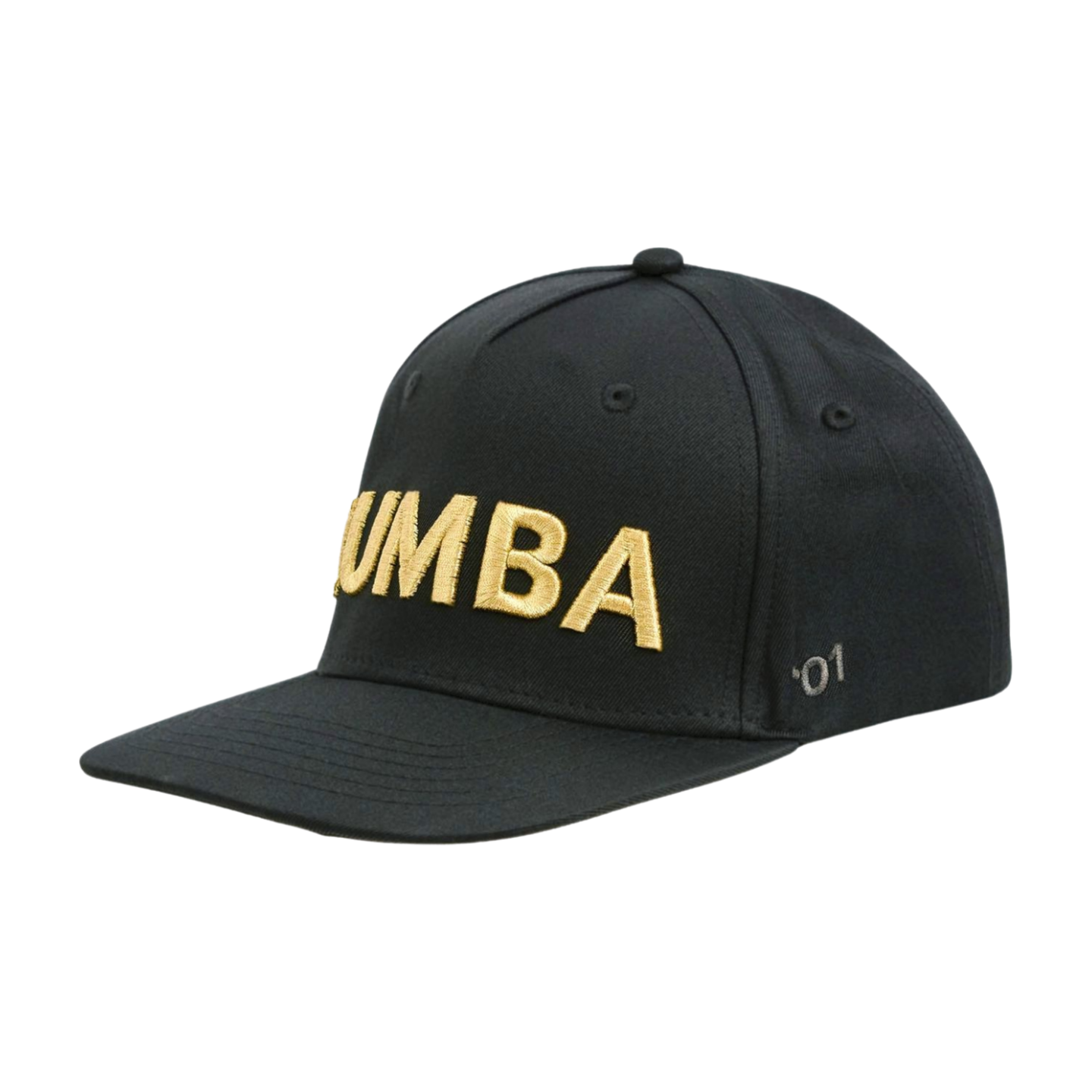 Zumba Core Snapback Hat (Pre-Order)