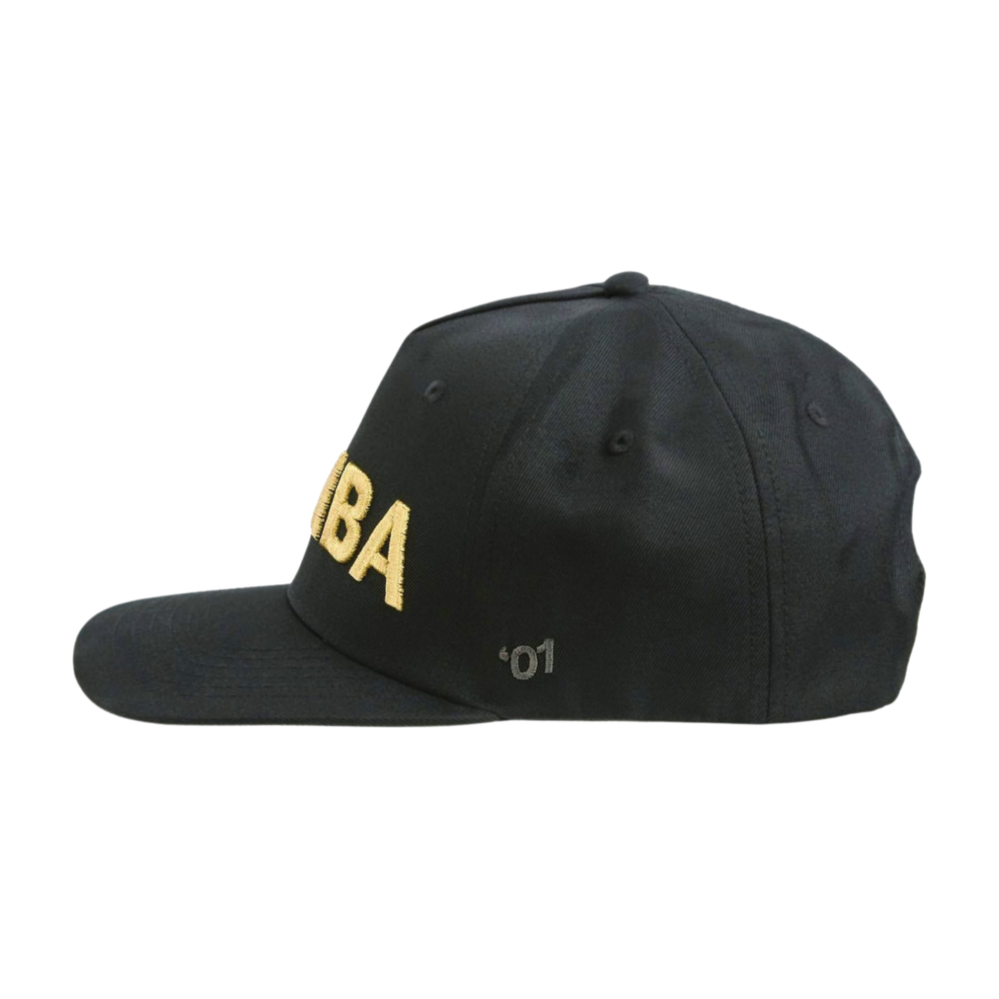 Zumba Core Snapback Hat (Pre-Order)