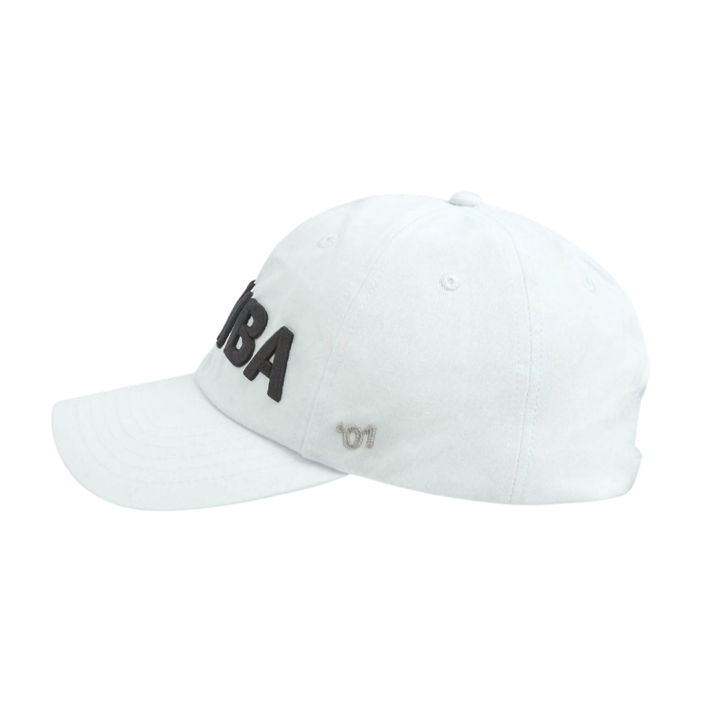 Zumba Core Dad Hat (Pre-Order)