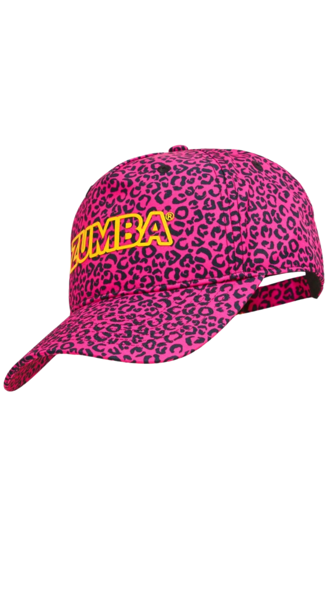 Sizzlin' Baseball Hat